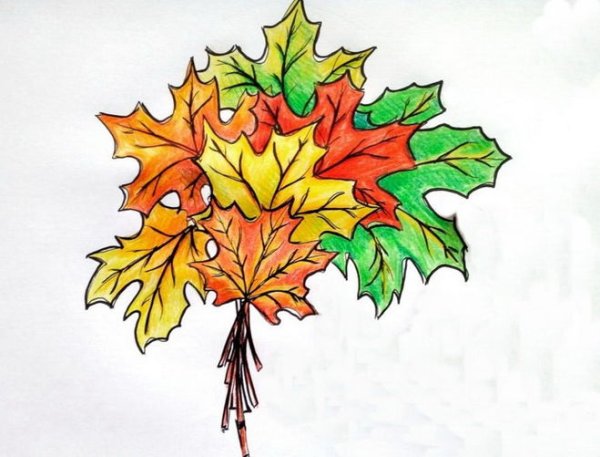 Букет из осенних листьев рисунок