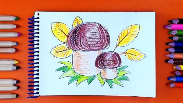 Рисунки школьников карандашом