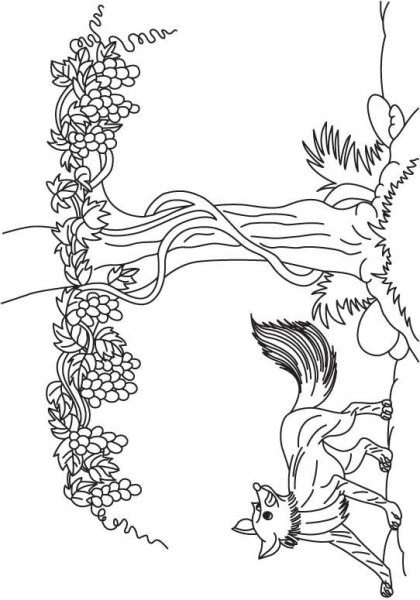 Лисица и виноград раскраска