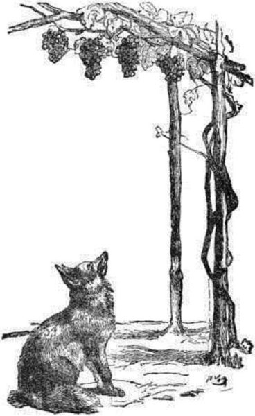 Басня лисица и виноград Крылов