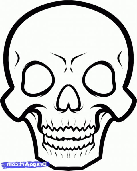 Череп легкий для срисовки