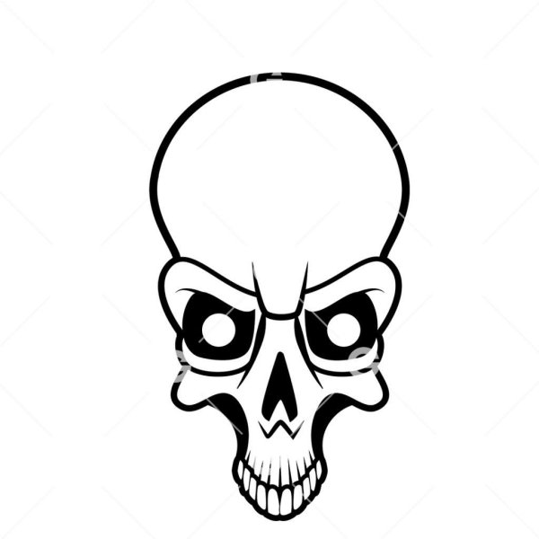 Очертания черепа