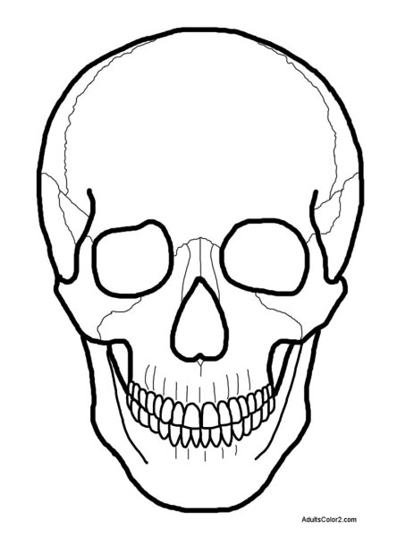 Монстр Хай череп