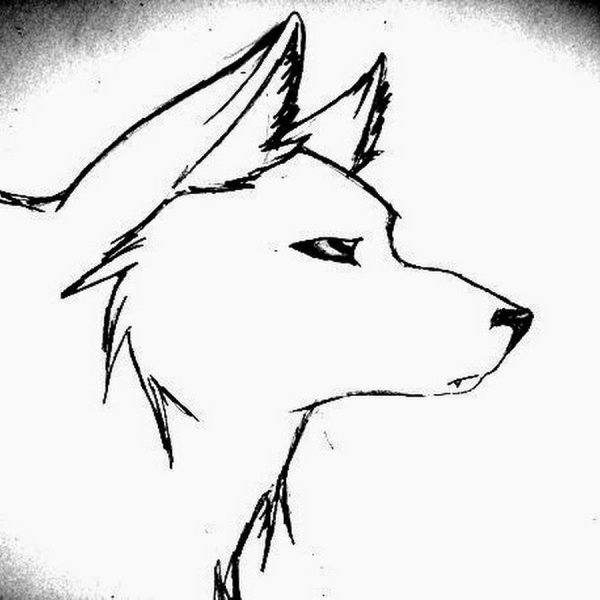 Рисунки Волков для срисовки лёгкие