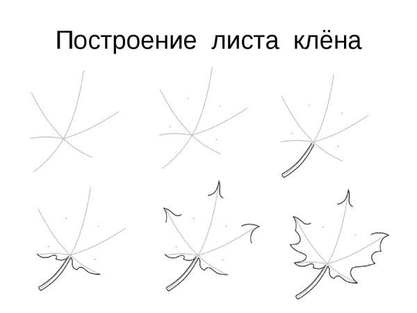 Построение кленового листа