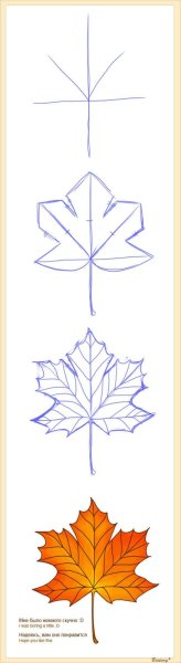 Поэтапное рисование листьев клена