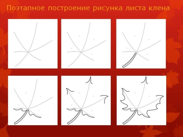 Лист клена поэтапное рисование