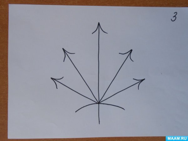 Поэтапное рисование листьев клена