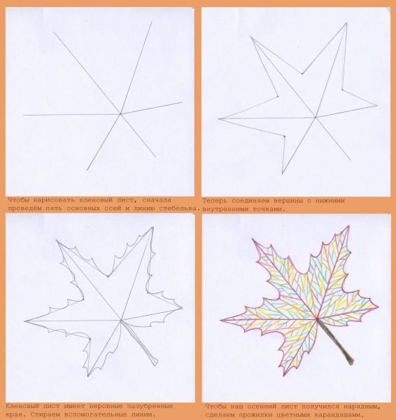 Кленовый лист рисунок пошагово