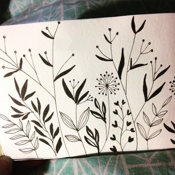 Рисунки цветов для скетчбука