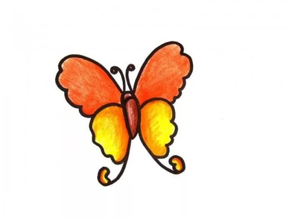 Бабочка рисунок для срисовки легкие