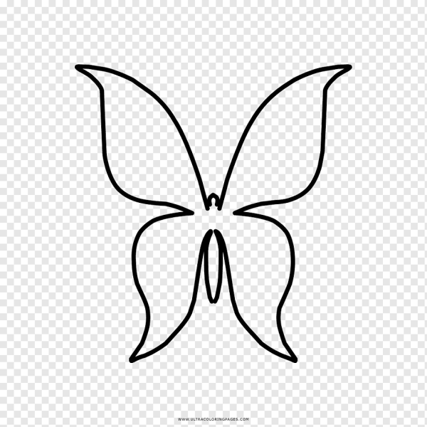 Бабочки для срисовки легкие