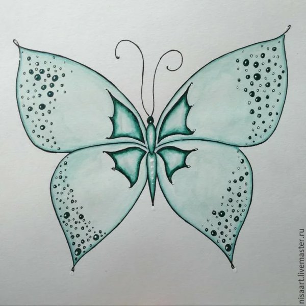 Рисунки бабочек для срисовки