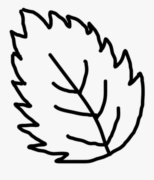 Листья рисунок