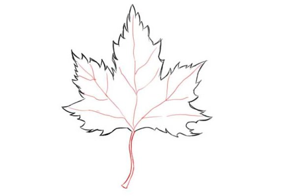 Рисунок легкий листья