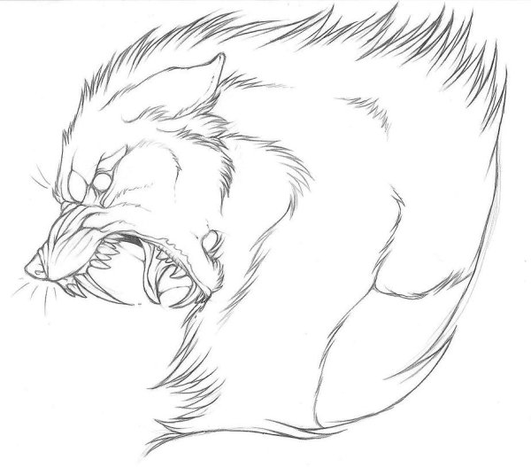 Оборотень рисунок карандашом для срисовки