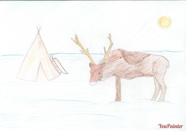 Тундра рисунок для 4 класса