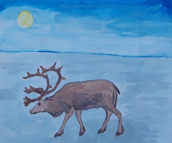 Тундра рисунок