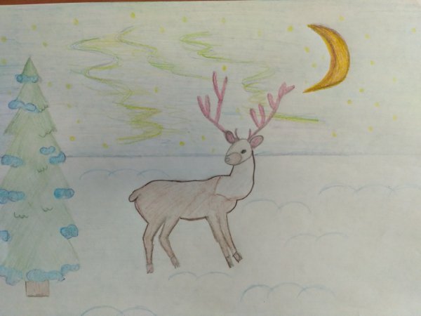 Тундра рисунок