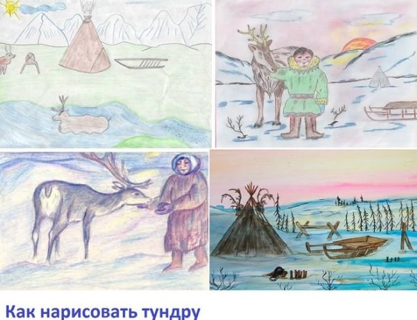 Тундра рисунок карандашом