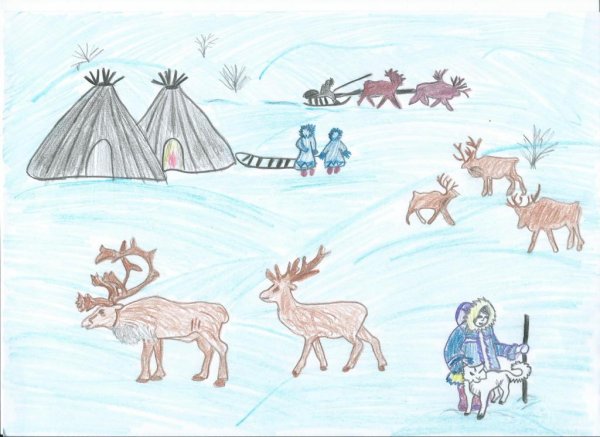 Лёгкие рисунки тундры