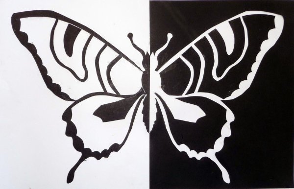 Симметрия в графике