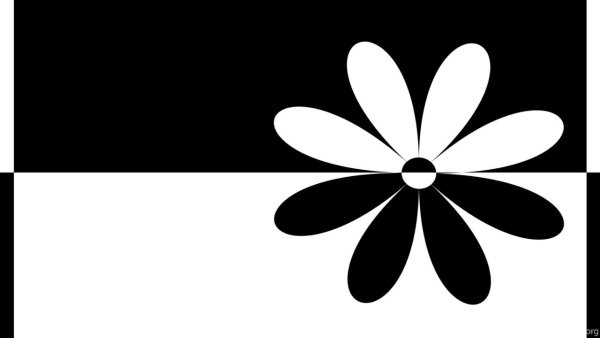 Черно белый контраст