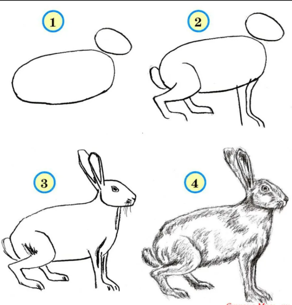 Кролик раскраска