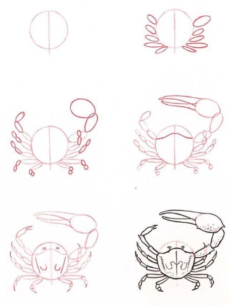 Нарисовать краба поэтапно