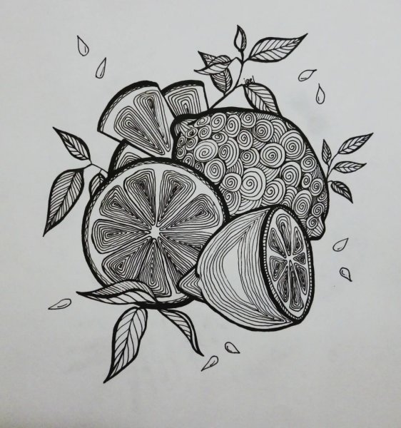 Графический диктант для детей