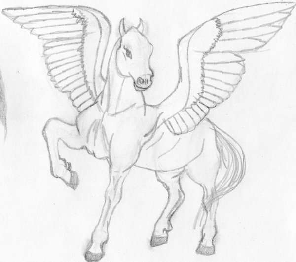 Лошадь с крыльями карандашом