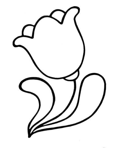 Контур кошки