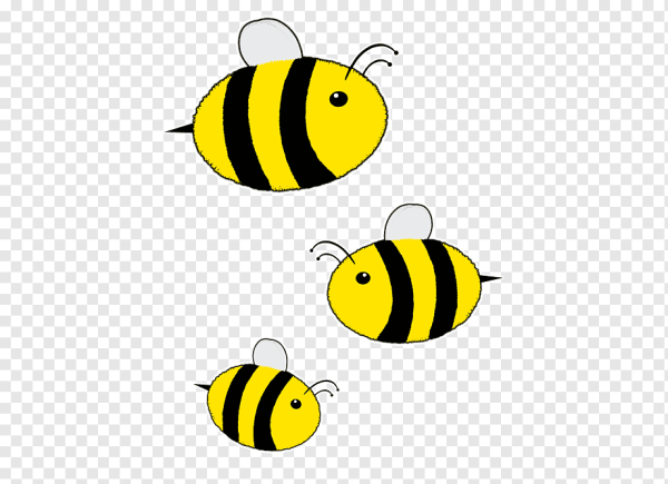 Толстые пчелки