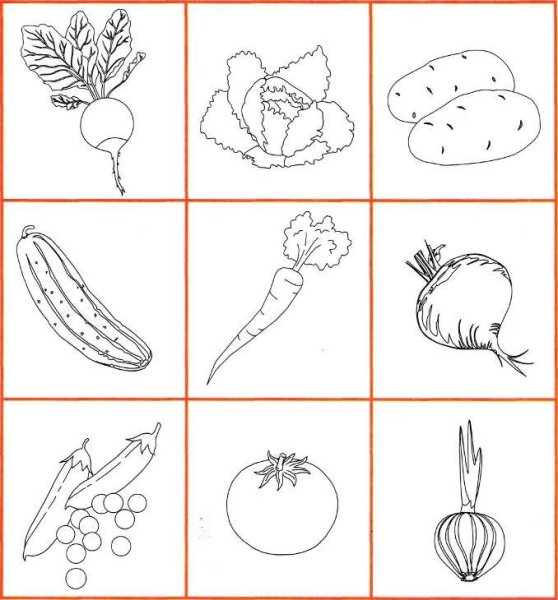 Овощи рисунок