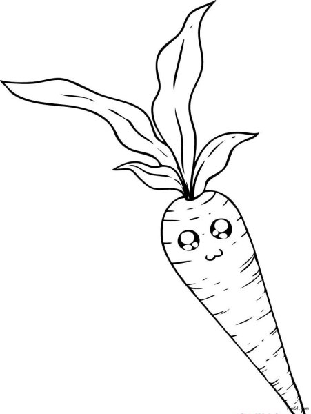 Морковь для срисовки