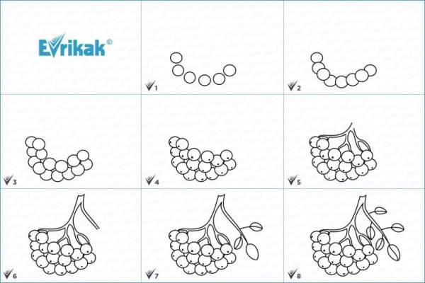 Ветка рябины рисование