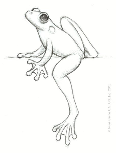 Лягушка рисунок карандашом