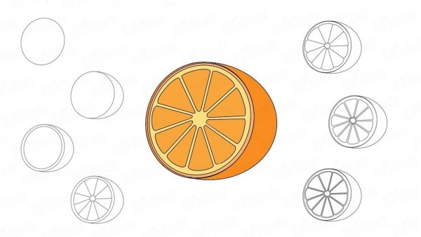 Поэтапное рисование апельсина
