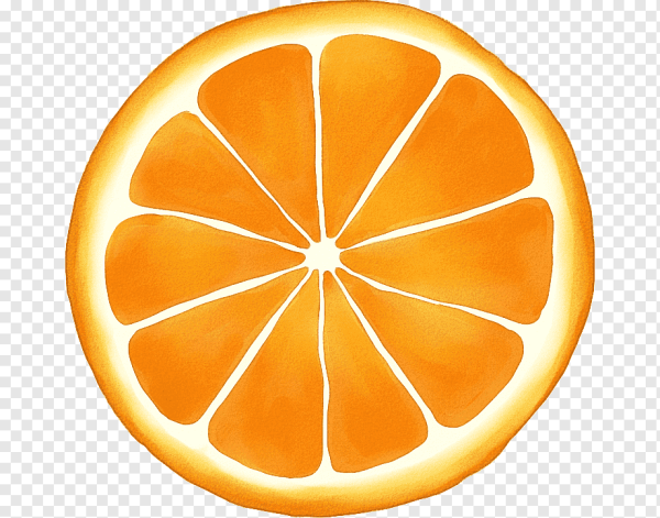 Разрезанный апельсин нарисованный