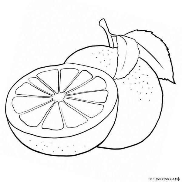 Апельсин раскраска для детей