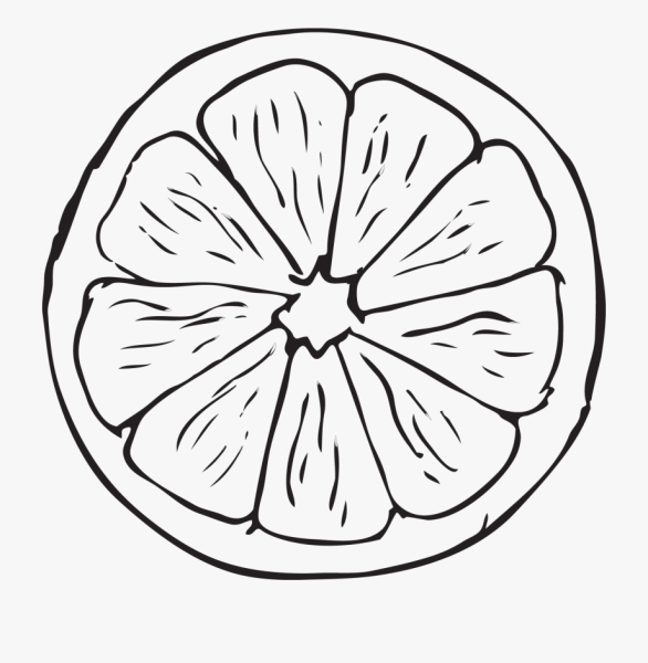 Мандарин раскраска