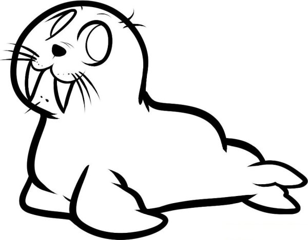 Рисуем моржа с детьми