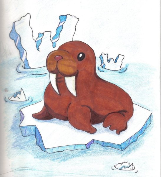 Нарисовать моржа легко