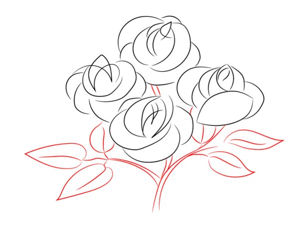 Роза раскраска