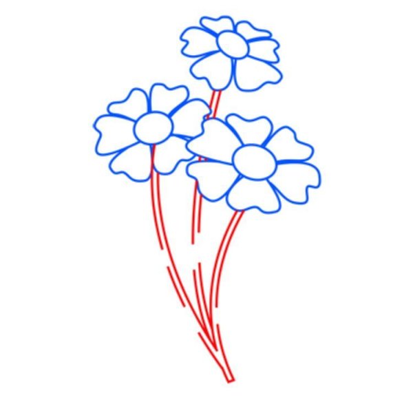 Букет роз карандашом