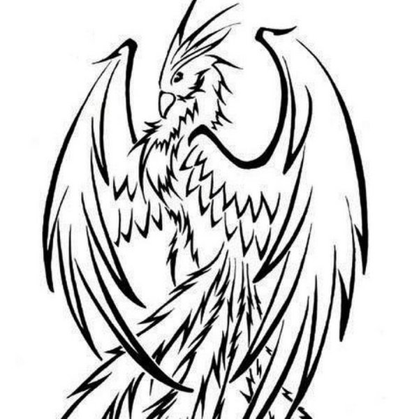 Феникс карандашом для срисовки