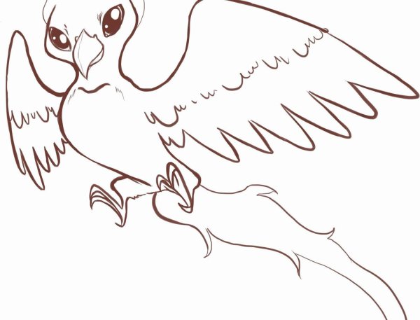 Картинки Феникса для срисовки