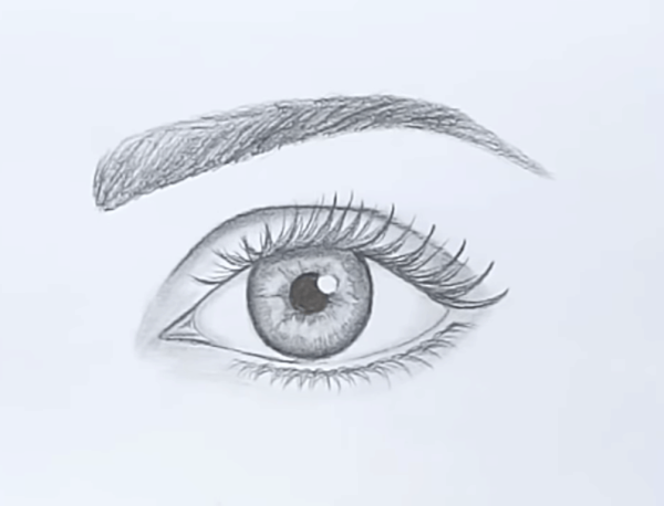 Рисуем поэтапно глаза и брови