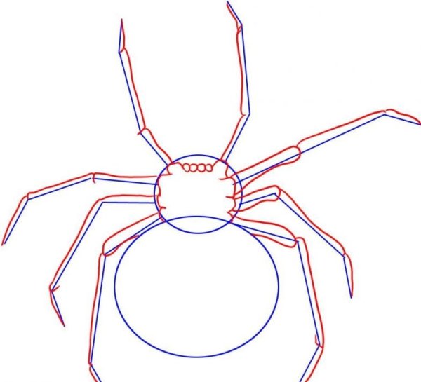 Паук карандашом