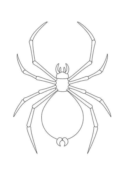 Паук рисовать